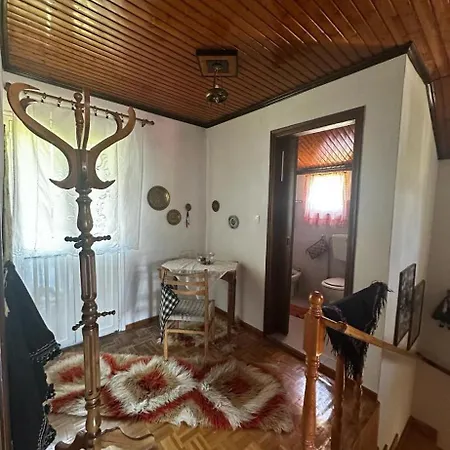 Kokkotis *